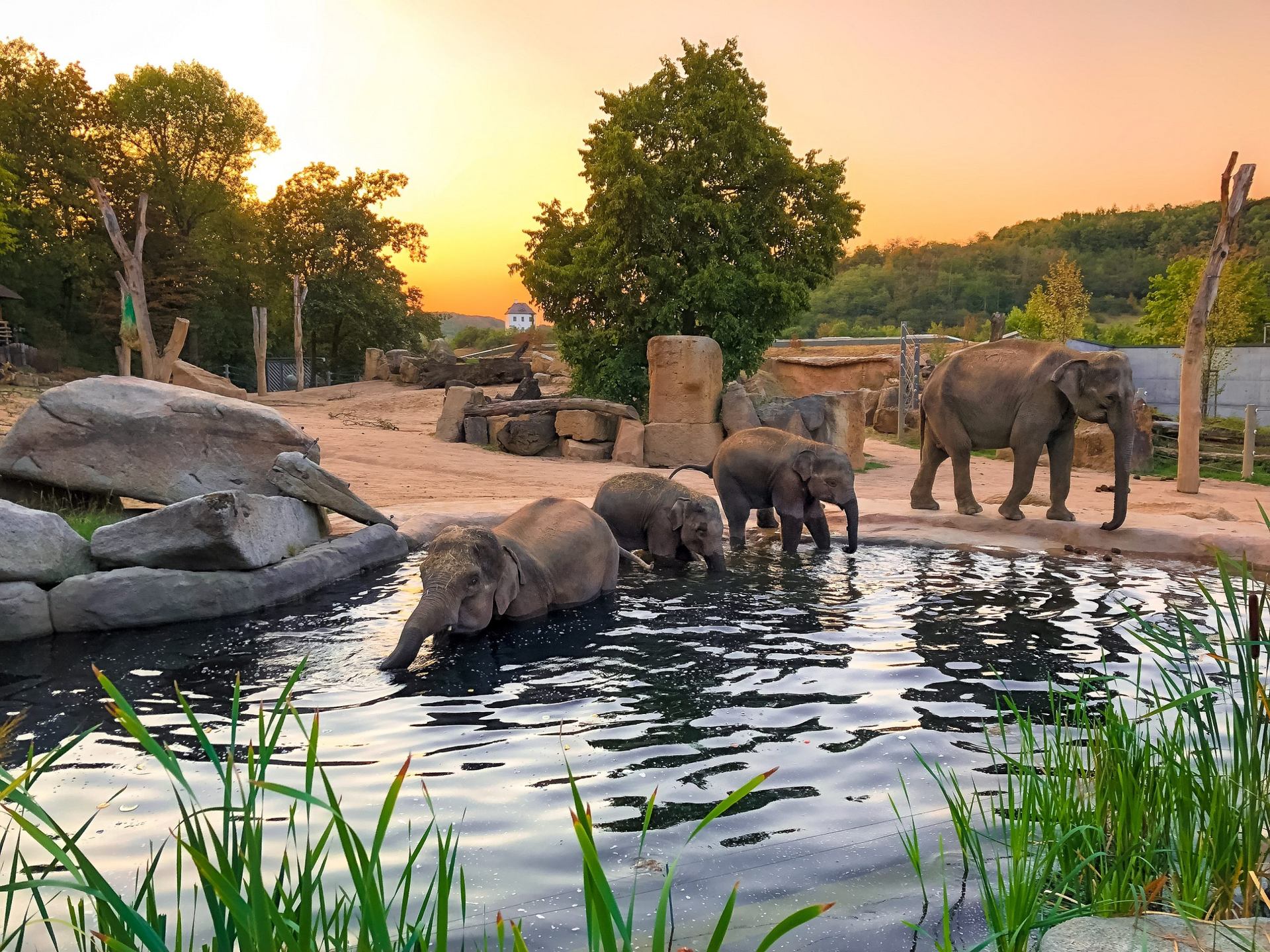 Zoologická zahrada Praha